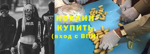 spice Инсар