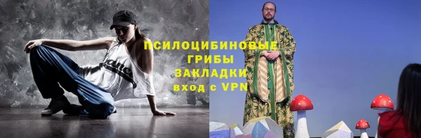 spice Инсар