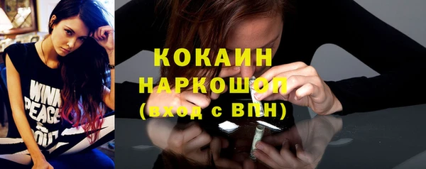 spice Инсар