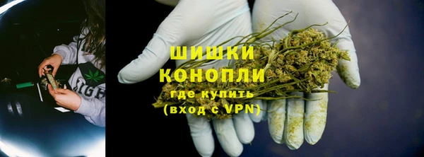 spice Инсар